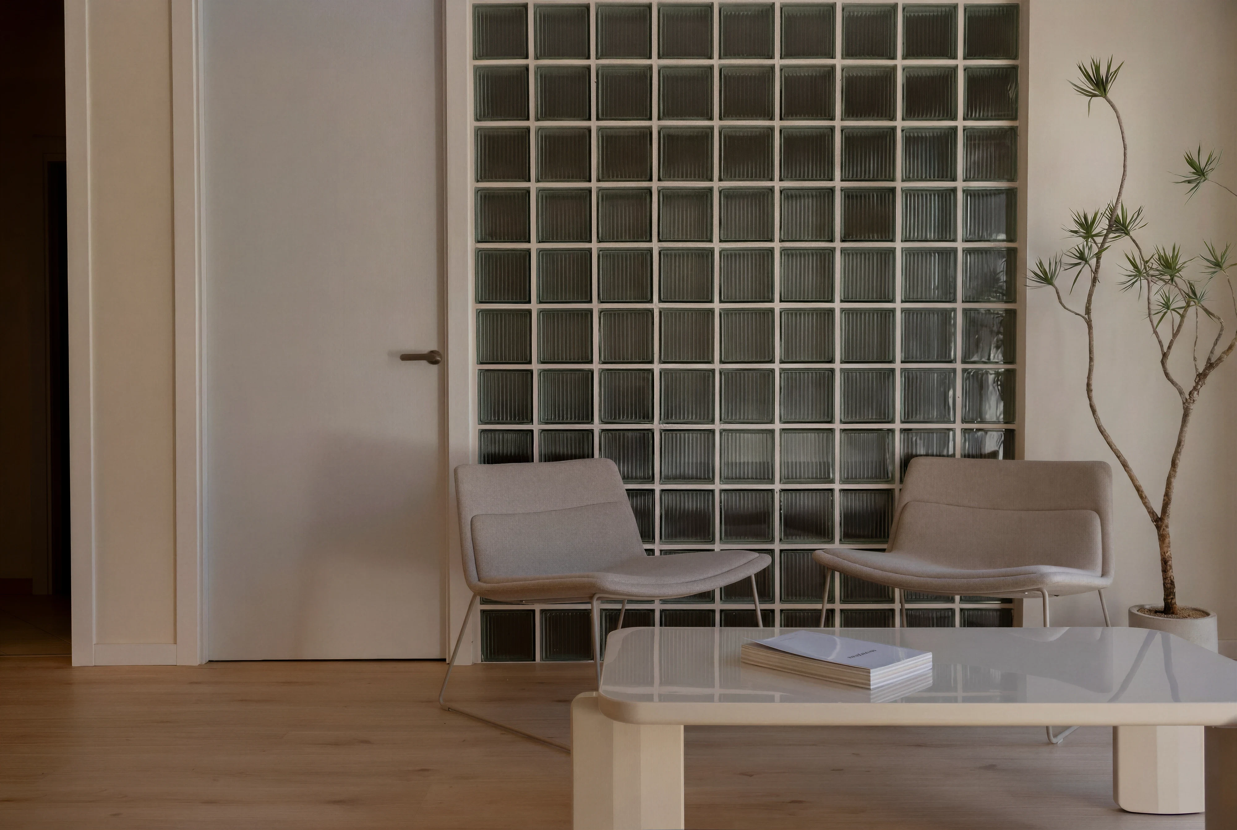 efe concept, foto 2