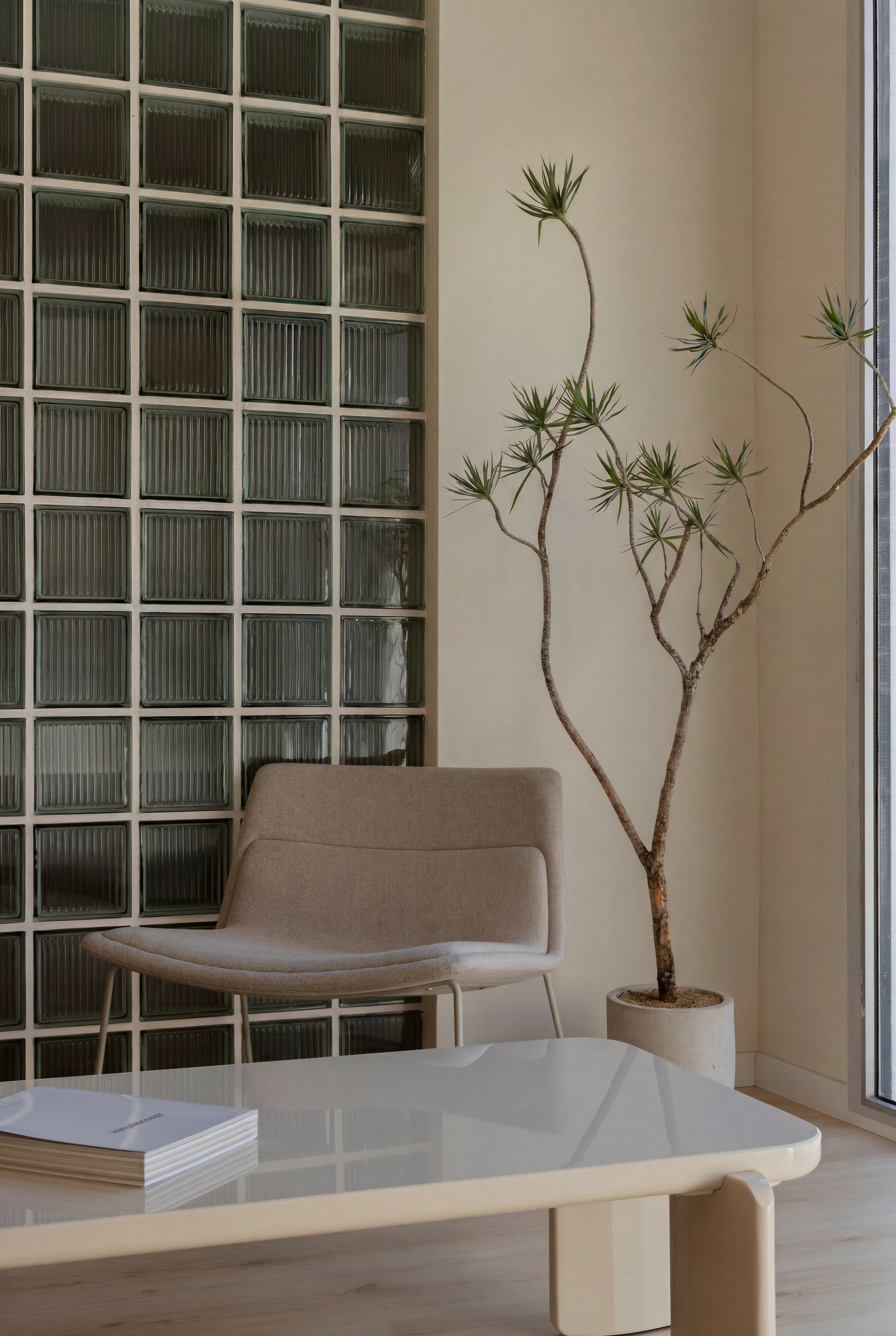 efe concept, foto 5