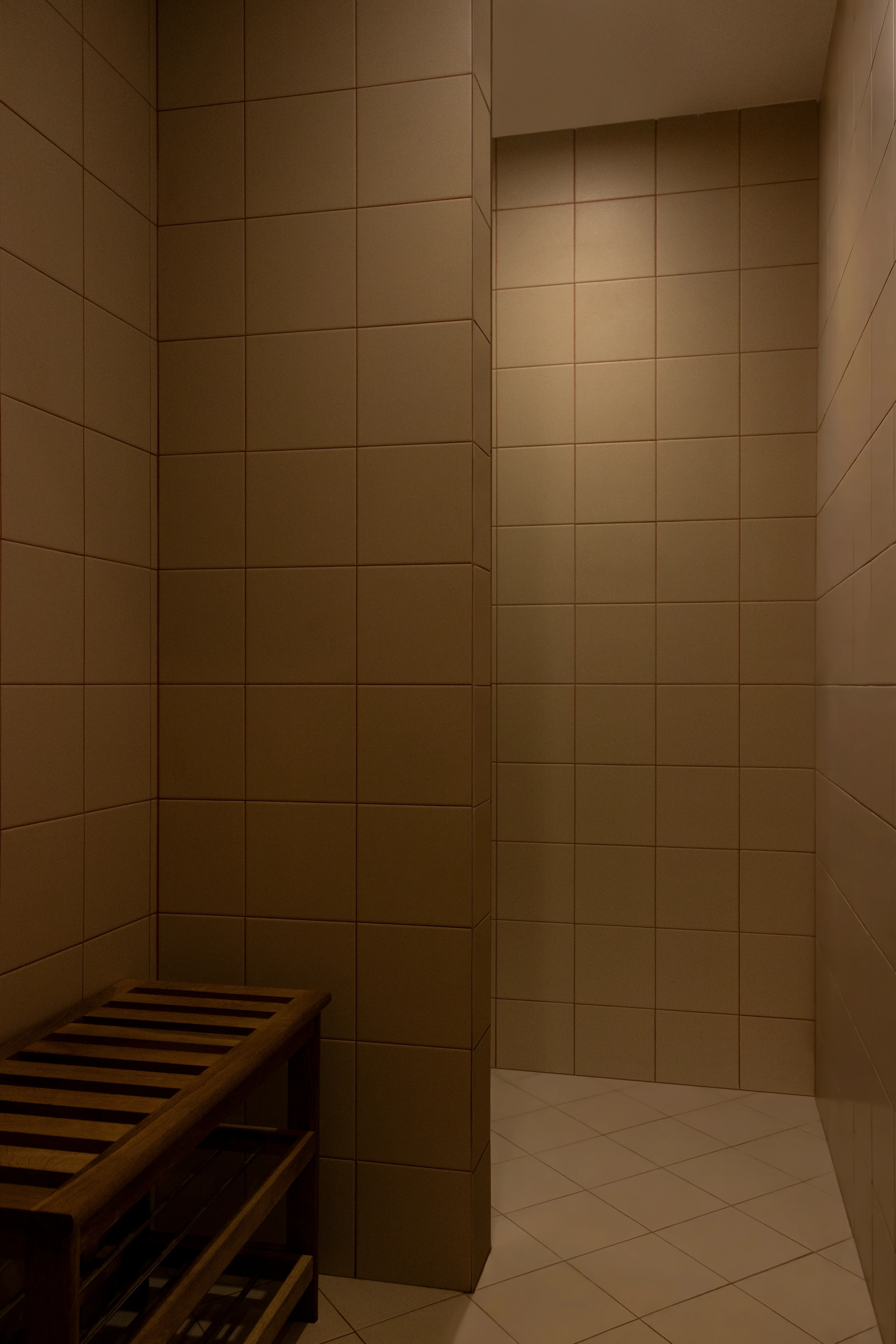efe concept, foto 8